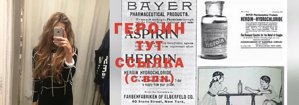 прущие грибы Вяземский