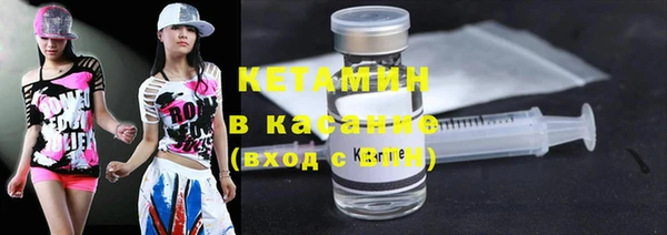 прущие грибы Вяземский