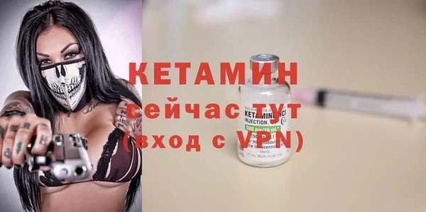 прущие грибы Вяземский