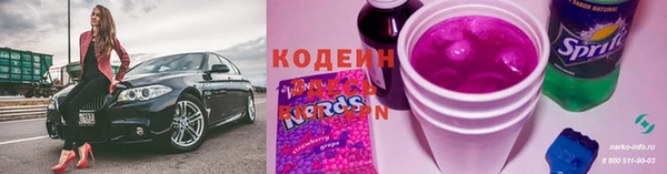 прущие грибы Вяземский
