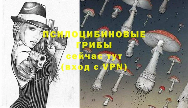 прущая мука Вязьма