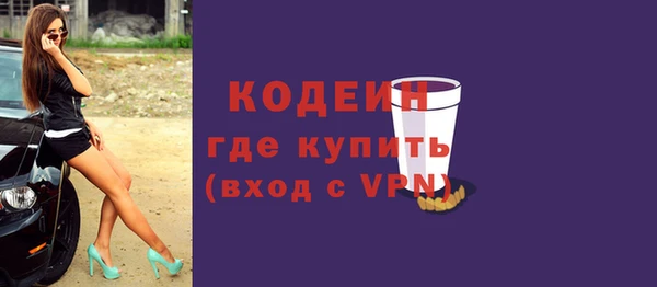 прущие грибы Вяземский