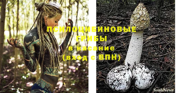 прущие грибы Вяземский