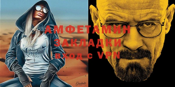 прущие грибы Вяземский