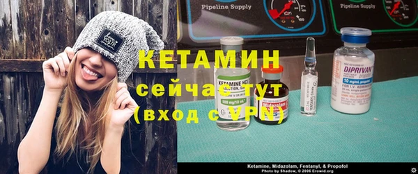 прущие грибы Вяземский