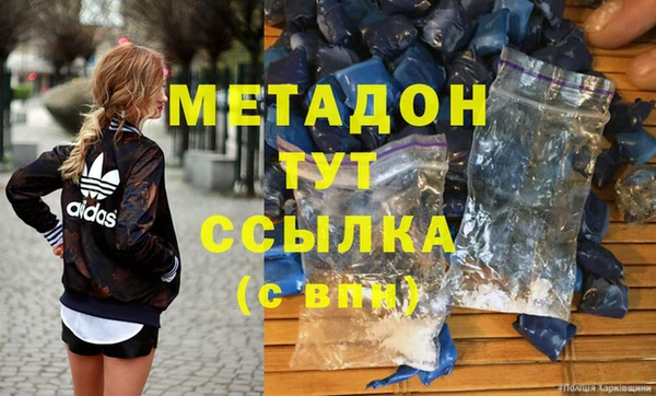 прущие грибы Вяземский