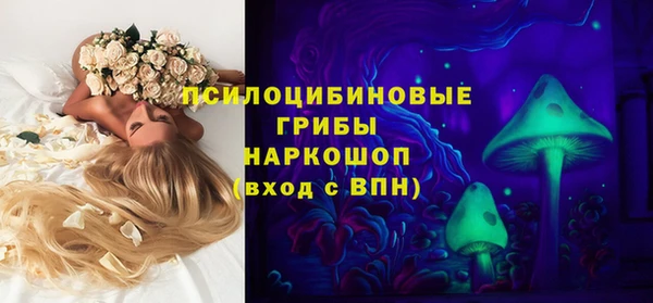 прущие грибы Вяземский