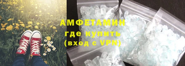 прущие грибы Вяземский