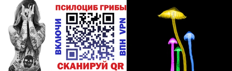Псилоцибиновые грибы мицелий  Нальчик 